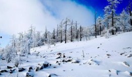 林海雪原在线观看,探寻东北抗联传奇的冰雪世界